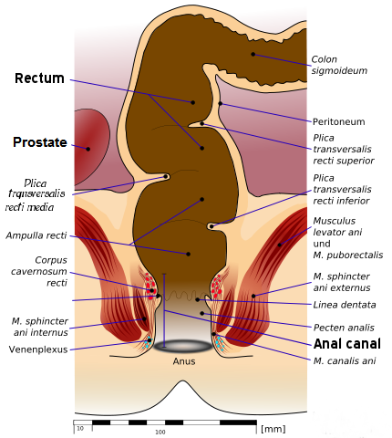 Understanding casual male bisexual encounters